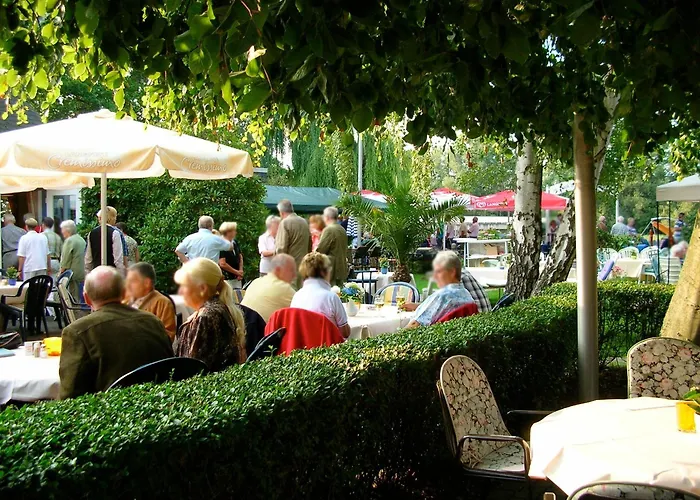 酒店 豪斯姆美尔施坦胡德酒店 3*